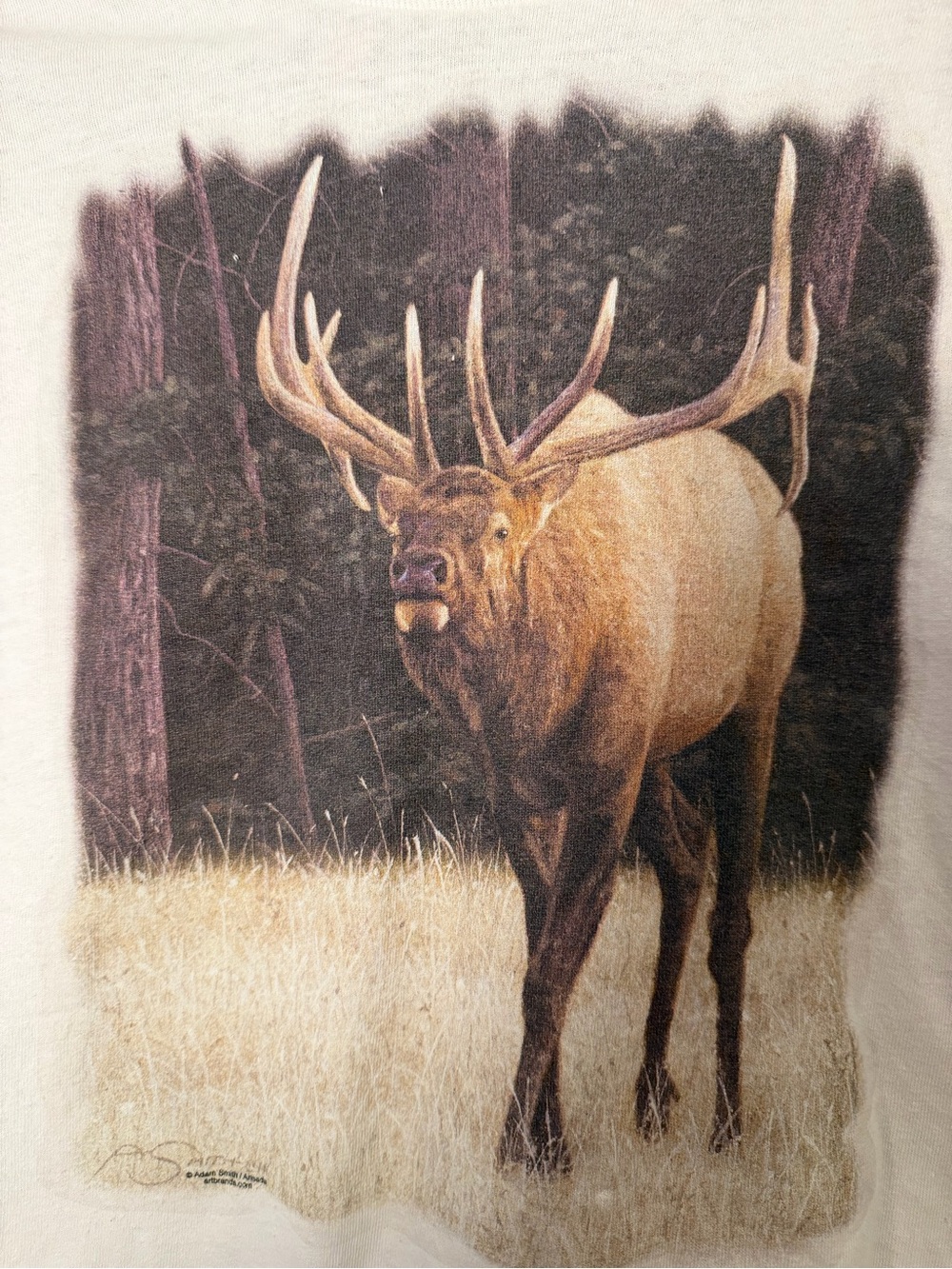 Banff Canada Elk Wildlife Graphic T Shirt White Nature Outdoors S Souvenir Tee